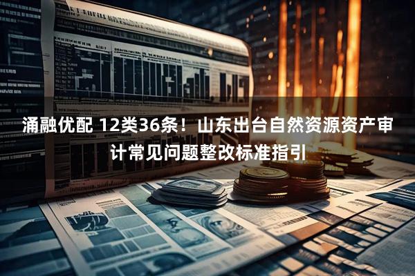 涌融优配 12类36条！山东出台自然资源资产审计常见问题整改标准指引