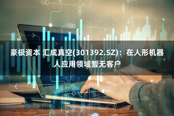豪极资本 汇成真空(301392.SZ)：在人形机器人应用领域暂无客户