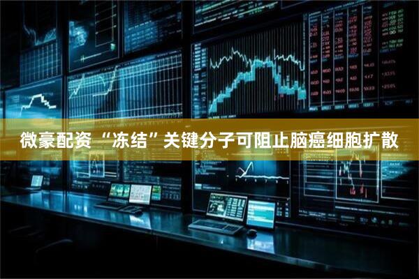 微豪配资 “冻结”关键分子可阻止脑癌细胞扩散